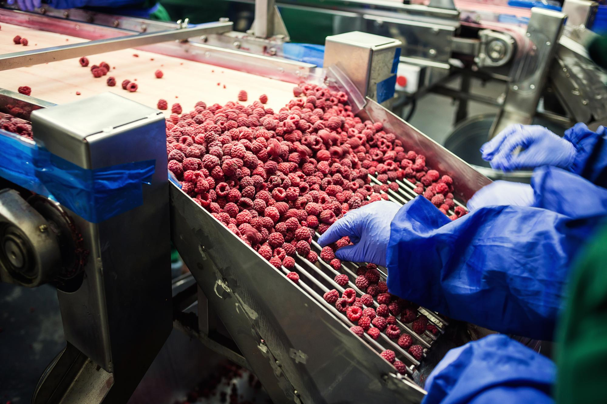 La durabilité l&rsquo;enjeu incontournable du secteur agroalimentaire